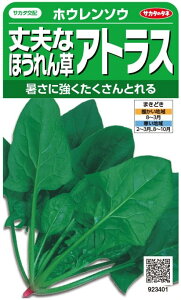 TJ^̃^l zE\E vȂق񂻂 AgX 25mlyXΉz