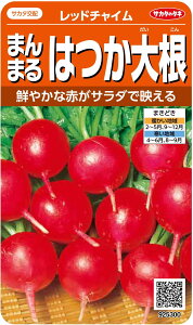 TJ^̃^l@_CR ܂܂͂卪@bh`C@7mlyXΉz