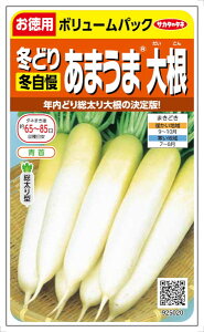 TJ^̃^l@܂ܑ卪 ~ p 15mlyXΉz