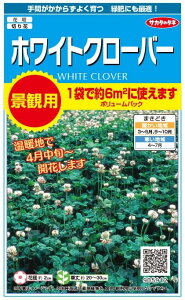 TJ^̃^l iϗp zCgN[o[ 35gyXΉz