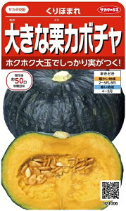 TJ^̃^l@傫ȌIJ{`@ق܂@6mlyXΉz