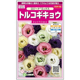 楽天市場 トルコギキョウ 苗の通販
