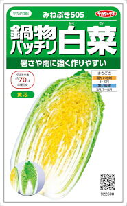 TJ^̃^l@nNTC@畨ob`؁@݂˂Ԃ505@0.9mlyXΉz