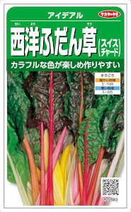 TJ^̃^l mӂ ACfÃ^l [eʁF3ml]