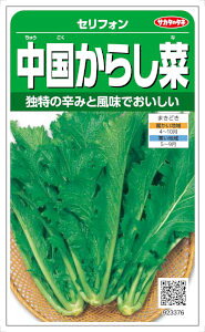 TJ^̃^l 炵 ZtH 8mlyXΉz