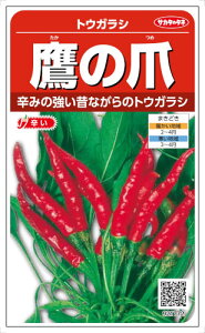 TJ^̃^l Ƃ炵 ̒ 1.2mlyXΉz