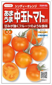 サカタのタネ あまうま中玉トマト シンディー オレンジ 約13粒【郵送対応】