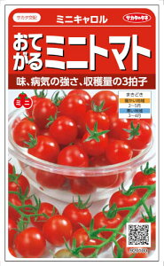 �T�J�^�̃^�l ���Ă���~�j�g�}�g �~�j�L������ ��14���y�X���Ή��z