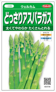 TJ^̃^l ǂAXpKX EFJ@0.9mlyXΉzyi햼FAtticus_o^ԍF27869z