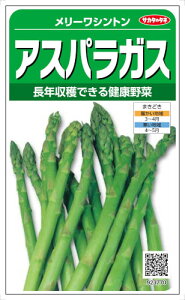 TJ^̃^l AXpKX [Vg 7mlyXΉz