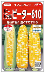 �T�J�^�̃^�l �g�E�����R�V �n�j�[�o���^���s�[�^�[610 ��23ml�y�X���Ή��z