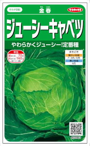 TJ^̃^l W[V[Lxc t 1mlyXΉz