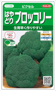 TJ^̃^l ͂ǂubR[ sNZ@100yXΉz