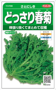 サカタのタネ シュンギク どっさり春菊 さとにしき 30ml【郵送対応】