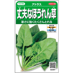 TJ^̃^l zE\E vȂق񂻂 AgX 25mlyXΉz