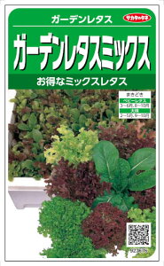 TJ^̃^l ^X K[f^X~bNX 4mlyXΉz