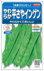 TJ^̃^l@炩CQ@邠Wr[m@26ml