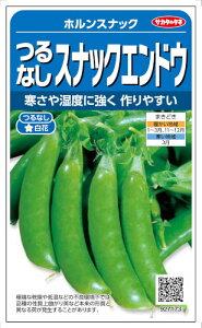 TJ^̃^l ȂXibNGhE zXibN 30mlyXΉzyi햼FzXibNz