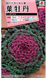 ^LCc@tO@g߁@0.5ml yXΉz