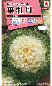 ^LCc@tO@߁@0.5ml yXΉz