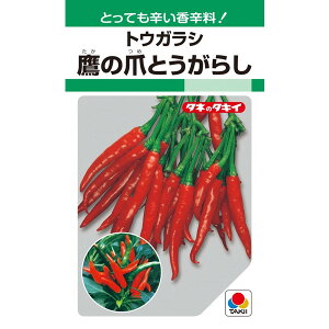 ^LCc@gEKV@̒܂Ƃ炵@360yXΉz