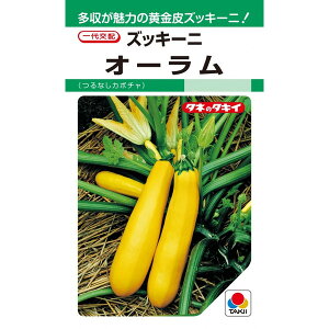 ズッキーニ 種の人気商品 通販 価格比較 価格 Com ズッキーニ 種の人気商品 通販 価格比較 価格 Com