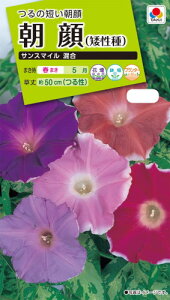 ^LCc@ATKI@TX}C@1.5mlyXΉz