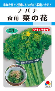 �^�L�C��c�@�i�o�i�@�H�p�؂̉ԁ@5ml�y�X���Ή��z�i�Ȃ̂͂ȁA�i�m�n�i�j