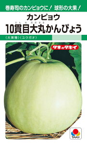 ^LCc@10іڑۂ҂傤@22yXΉz