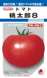 タキイ種苗　トマト　桃太郎8　約16粒【郵送対応】