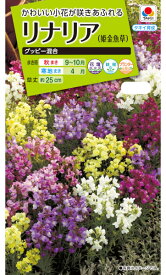 楽天市場 リナリア 花 ガーデン Diy の通販 楽天市場 リナリア 花 ガーデン Diy の通販