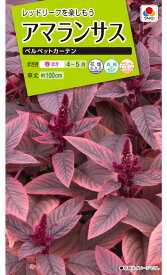 タキイ種苗　アマランサス　ベルベットカーテン　0.1ml【郵送対応】