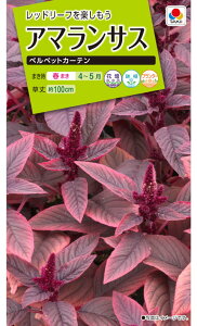 ^LCc@A}TX@xxbgJ[e@0.1mlyXΉz