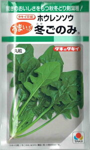 ^LCc@zE\E@~̂݁@45mlyXΉz