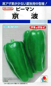 タキイ交配　ピーマン　京波 約50粒 【郵送対応】