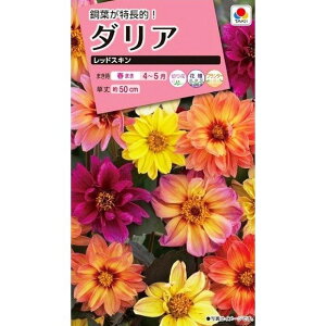 ダリア 種の人気商品 通販 価格比較 価格 Com