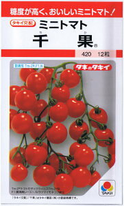 ^LCc@~jg}g@ʁij 10 yXΉz