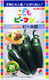 タキイ交配　ピーマン　ピー太郎 約30粒 【郵送対応】