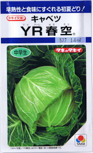 ^LCc@Lxc@YRt 1.2ml yXΉz