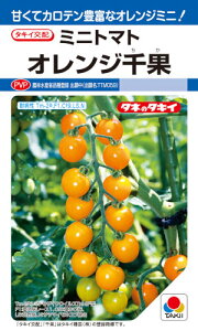 ^LCc g}g IW 16 yXΉzyi햼FTTM059_o^ԍF23301z