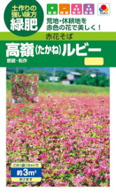 タキイ種苗　緑肥　赤花そば　高嶺ルビーNeo　15ml 【郵送対応】