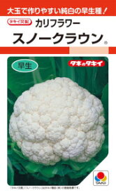 タキイ交配　カリフラワー　スノークラウン　0.7ml 【郵送対応】