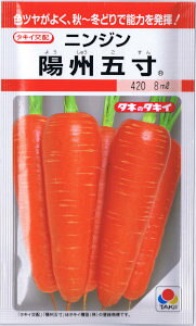 ^LCz@jW@zBܐ@7ml yXΉz