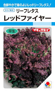 ^LCc@[t^X@bht@C[@0.6ml yXΉz