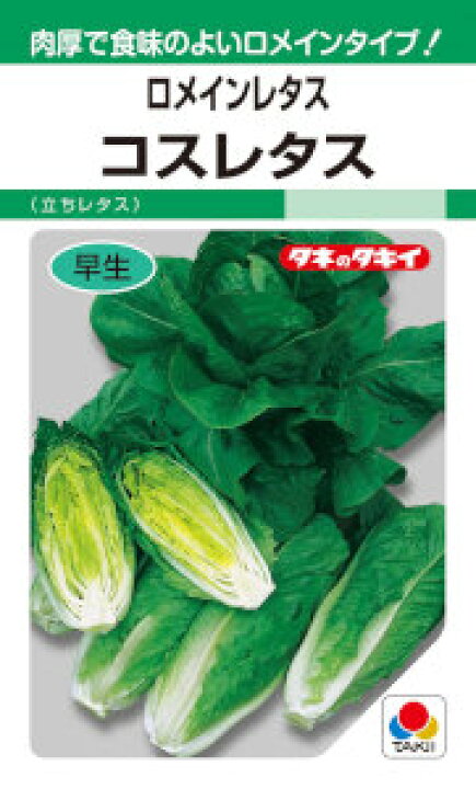 タキイ交配 ロメインレタス コスレタス 1.8ml 【郵送対応】 日光種苗 カーボロネロ(クロキャベツ) Laciniato nero di