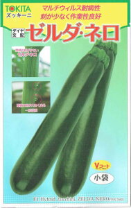 gL^c@YbL[j@[_El [eʁF10]