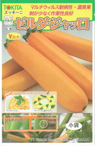 gL^c@YbL[j@[_EWb [eʁF10]