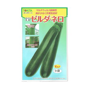 gL^c@YbL[j@[_El [eʁF100]