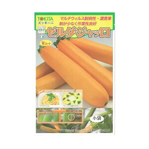 gL^c@YbL[j@[_EWb [eʁF100]