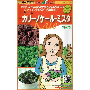 gL^c@OXgC^A@J[mP[E~X^[eʁF20×2]